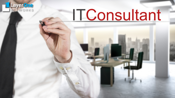IT Consultant - Layer One Networks